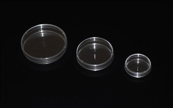 Transparent Plastic Culture Dish Round Shape 35 mm 60 mm 70mm 100 mm